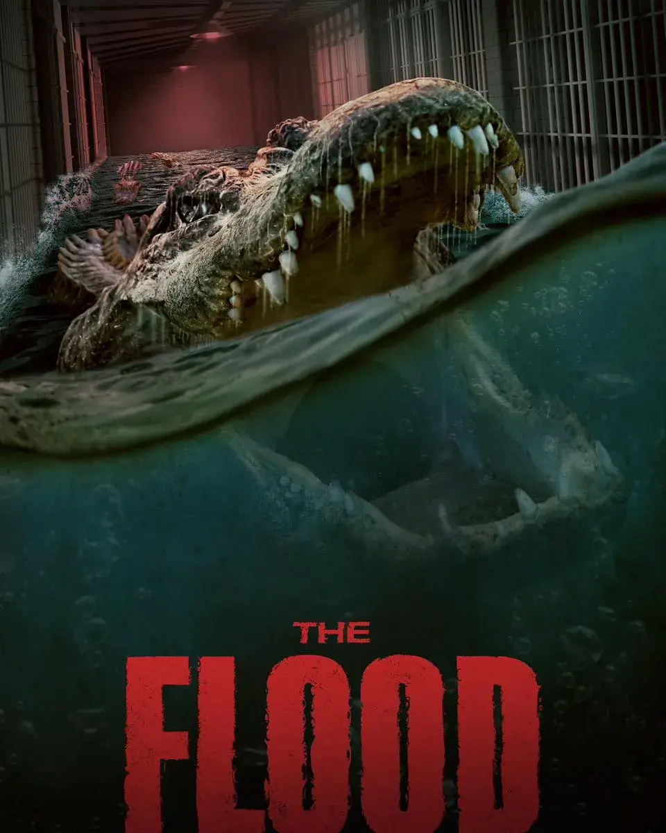 فیلم سیل