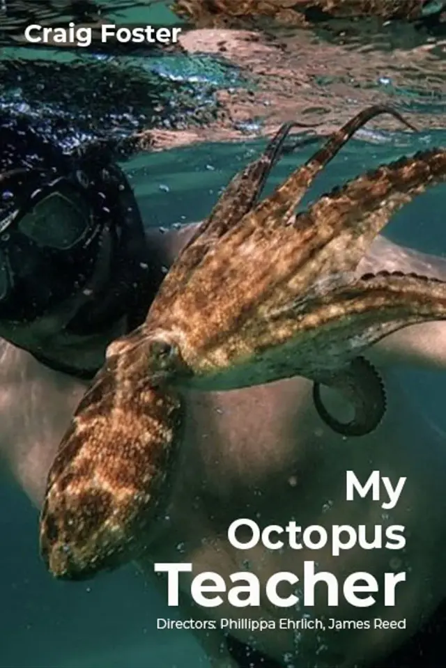 مستند معلم اختاپوس من (My Octopus Teacher) پوستر