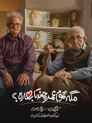 سریال مگه تموم عمر چند تا بهاره (You Only Go Around Once) پوستر