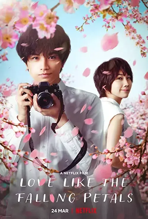 فیلم عشقی مثل گلبرگ های در حال ریزش (Love Like the Falling Petals) پوستر