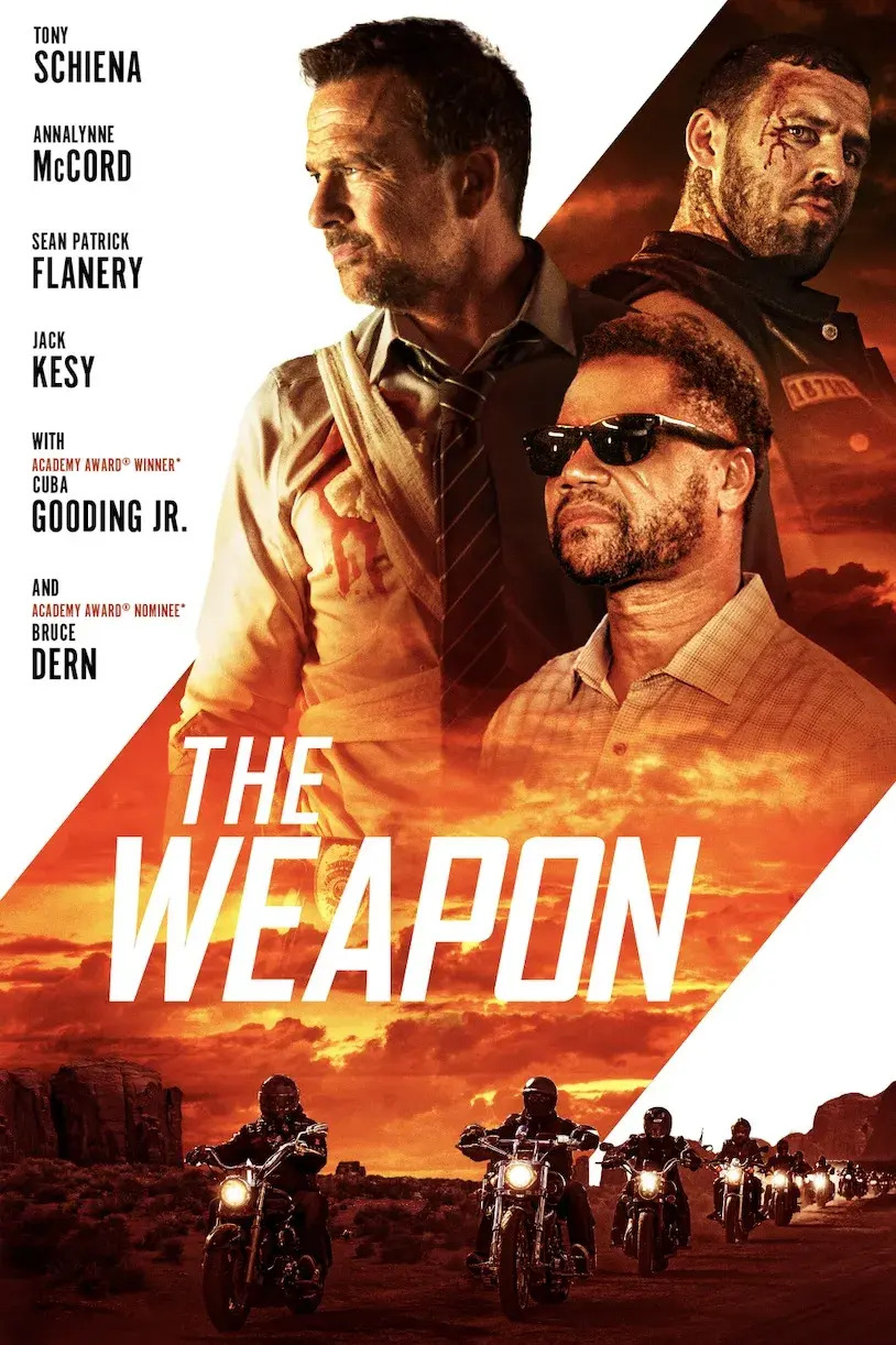 فیلم اسلحه 