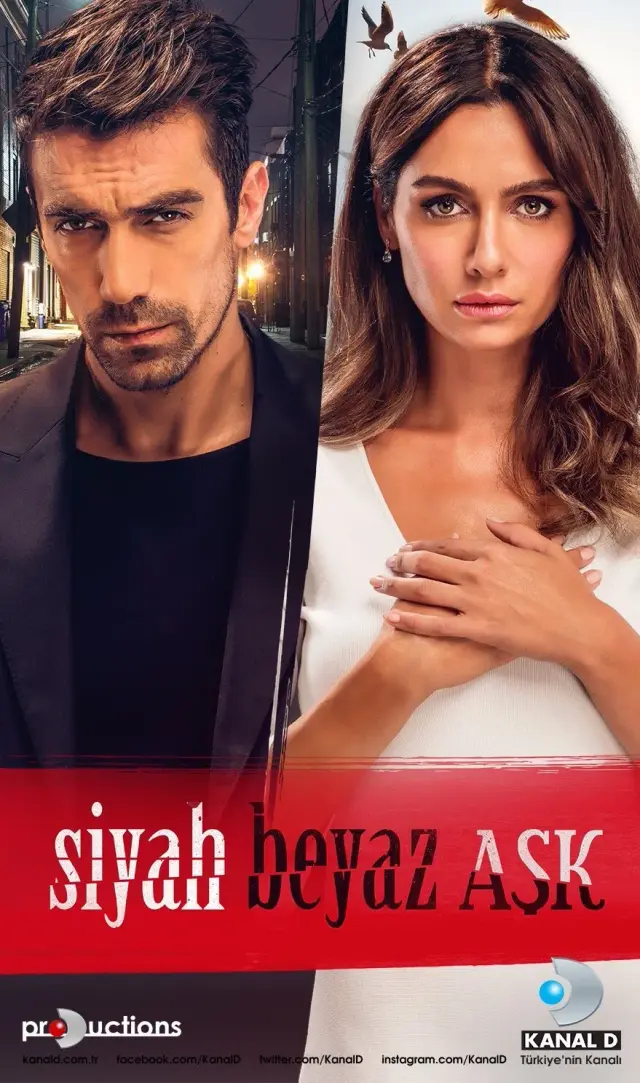 سریال عشق سیاه و سفید (Price of Passion) پوستر