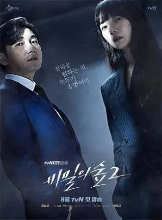 سریال غریبه 2017 (Stranger) پوستر
