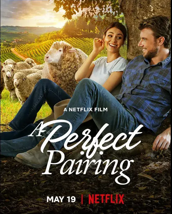فیلم یک زوج بی نقص (A Perfect Pairing) پوستر