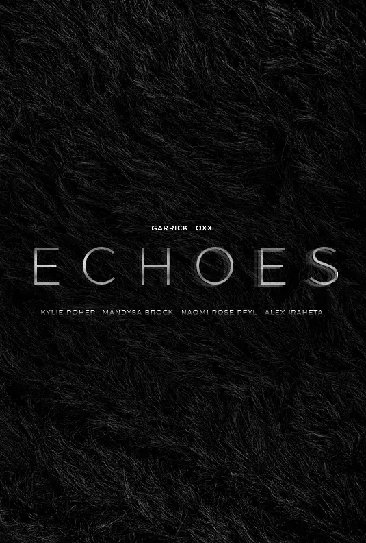 سریال پژواک ها (Echoes) پوستر