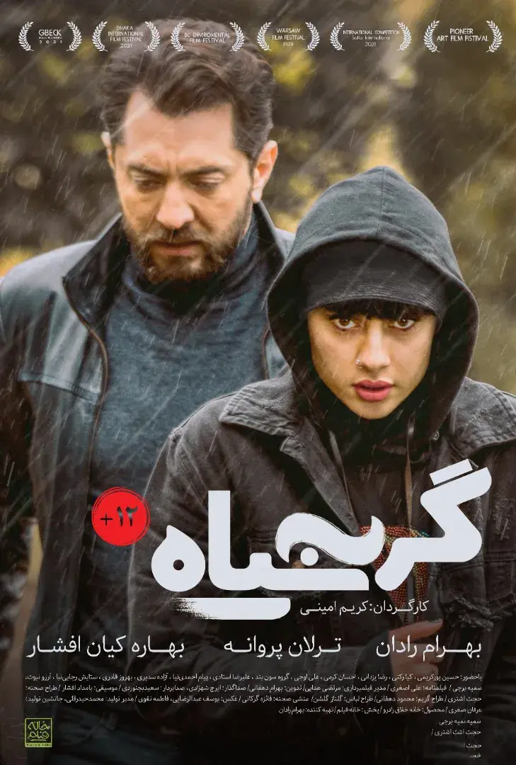 فیلم گربه سیاه