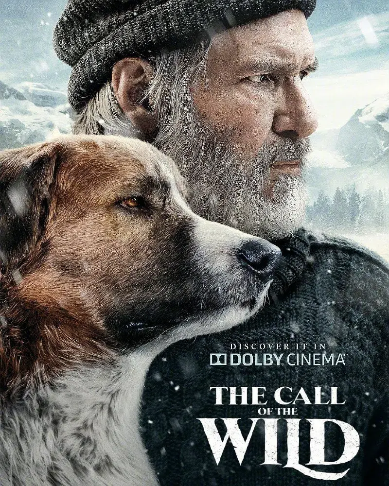فیلم آوای وحش
