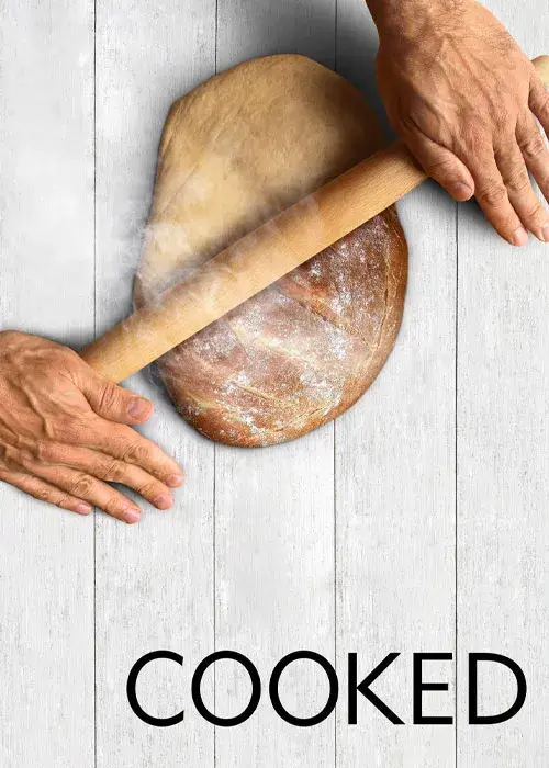 مستند پختن