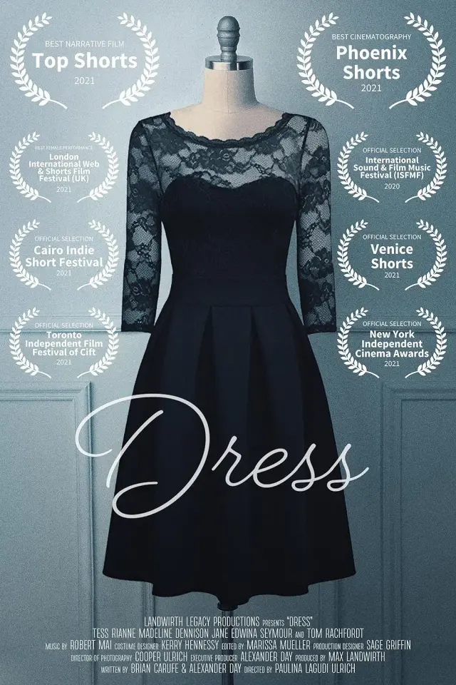 فیلم لباس (The Dress) پوستر