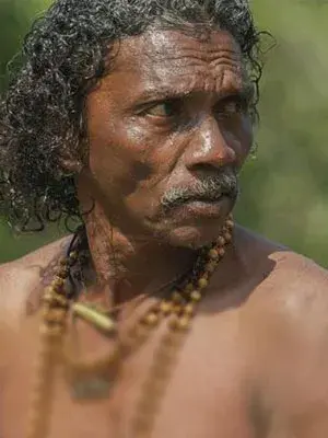 بومان    