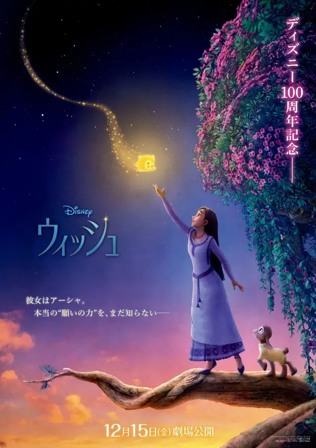 انیمیشن آرزو (Wish) پوستر