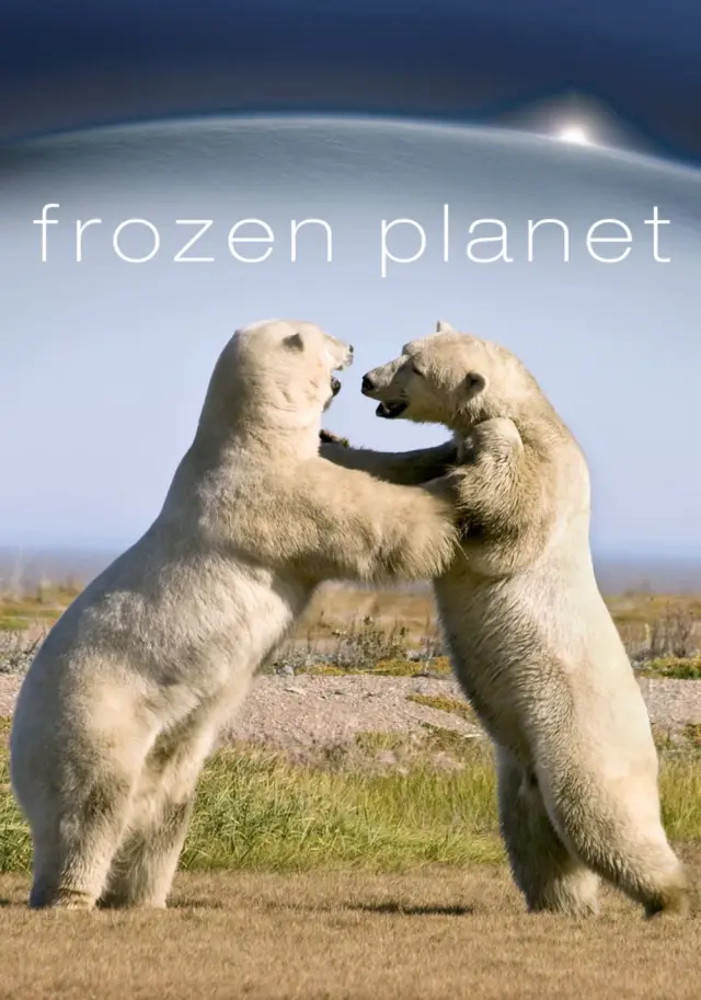 مستند سیاره یخ‌ زده (Frozen Planet) پوستر