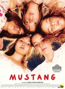 فیلم اسب وحشی (Mustang) پوستر