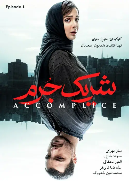 سریال شریک جرم