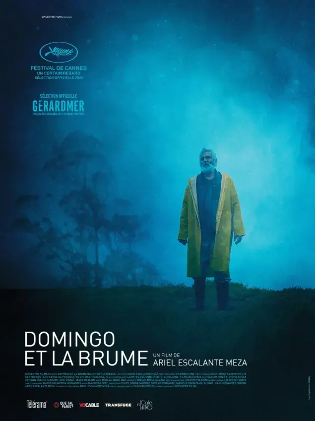 فیلم دومینگو و مه (Domingo y la niebla) پوستر