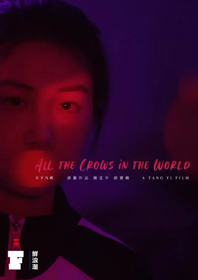 فیلم همه کلاغ های دنیا (All the Crows in the World) پوستر