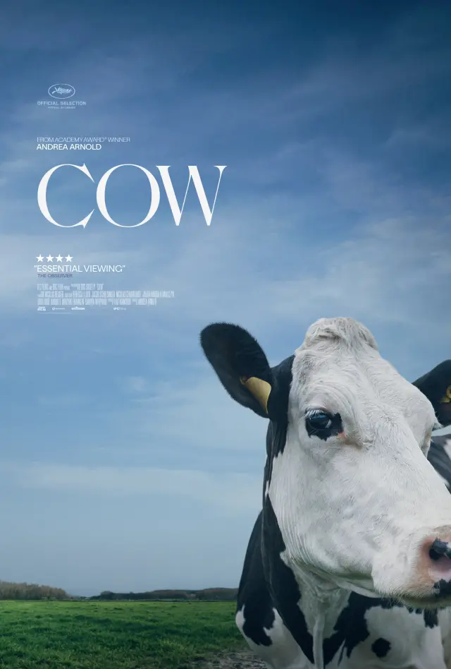 مستند گاو (Cow) پوستر