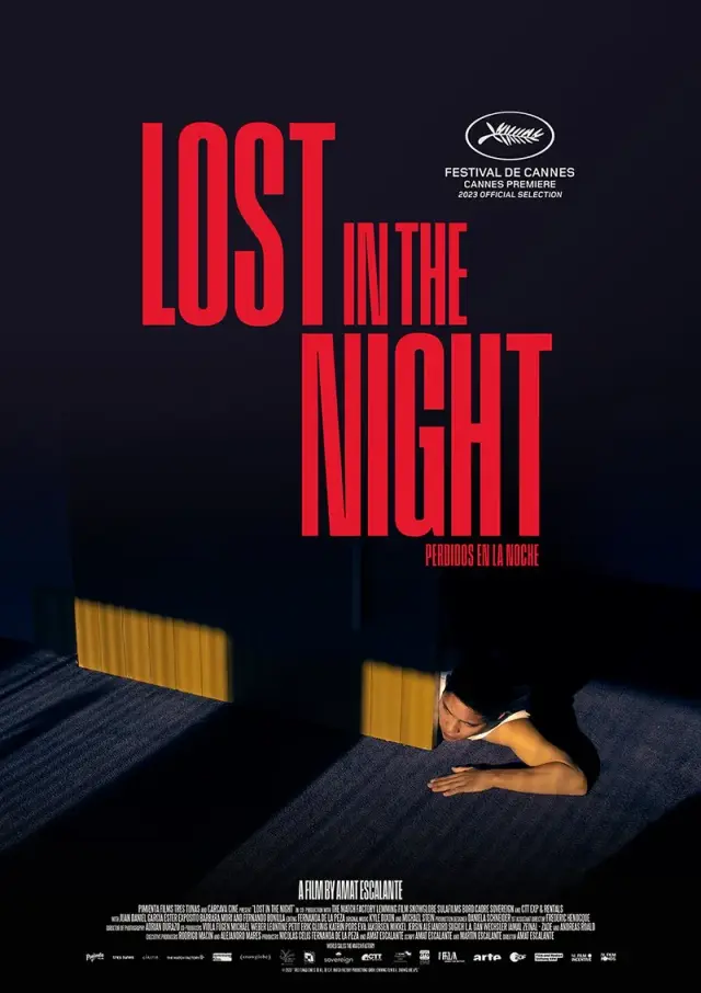 فیلم گمشده در شب (Lost in the Night) پوستر