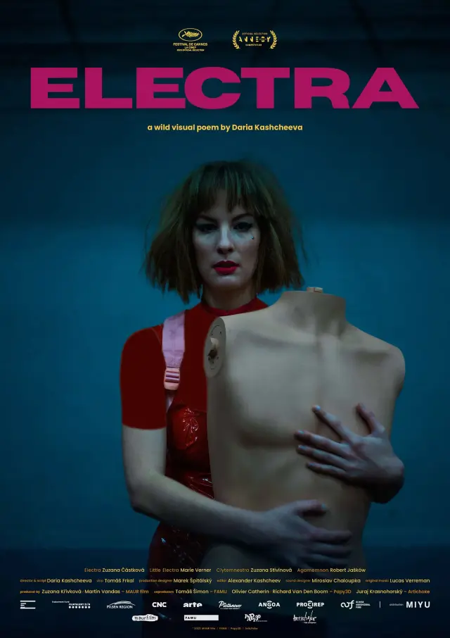 انیمیشن الکترا (Electra) پوستر