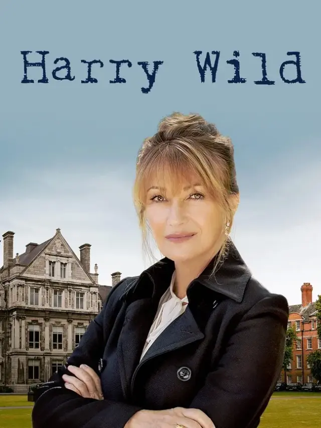 سریال هری وایلد (Harry Wild) پوستر