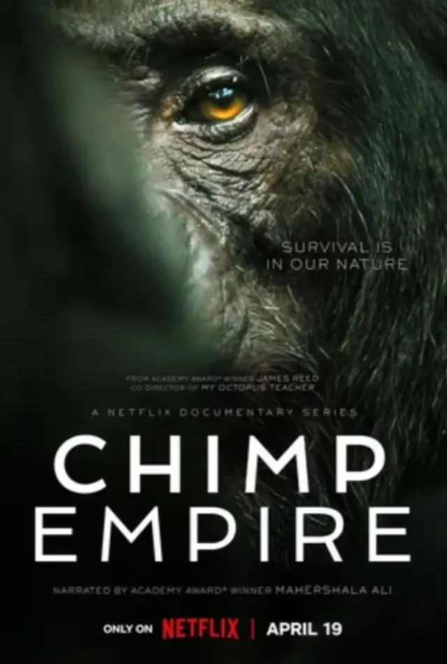 مستند امپراتوری شامپانزه ها (Chimp Empire) پوستر