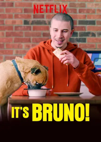 سریال این برونو است (It's Bruno!) پوستر