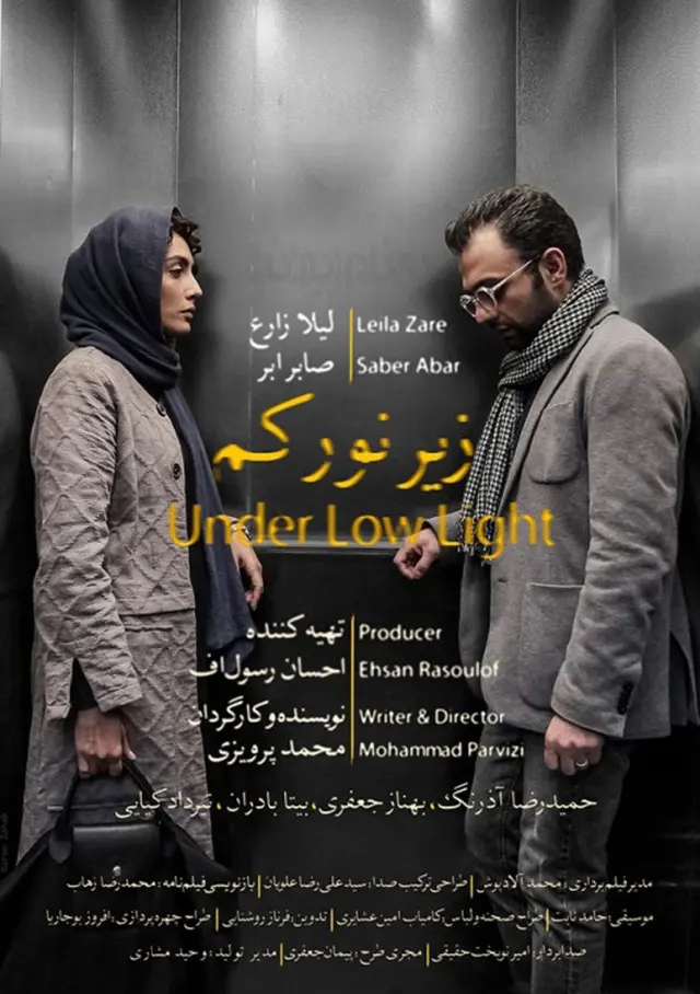 فیلم زیر نور کم (Under Low Light) پوستر