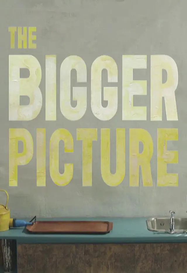 انیمیشن تصویر بزرگ تر (The Bigger Picture) پوستر