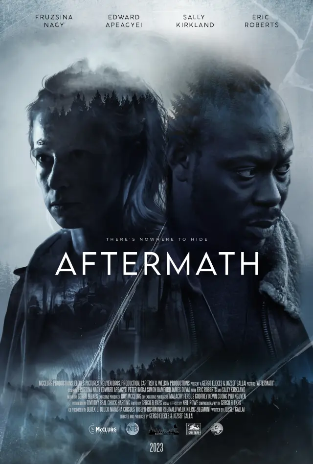 فیلم پس از حادثه (Aftermath) پوستر