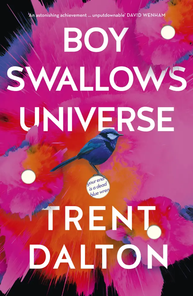 سریال پسری که جهان را قورت داد (Boy Swallows Universe) پوستر