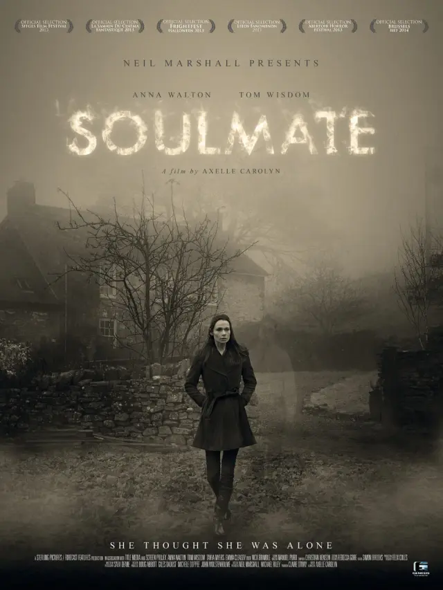 فیلم همزاد 2013 (Soulmate) پوستر