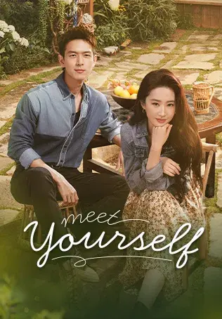 سریال خودت را دریاب (Meet Yourself) پوستر