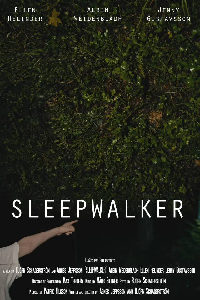 فیلم خوابگردها (The Sleepwalkers) پوستر
