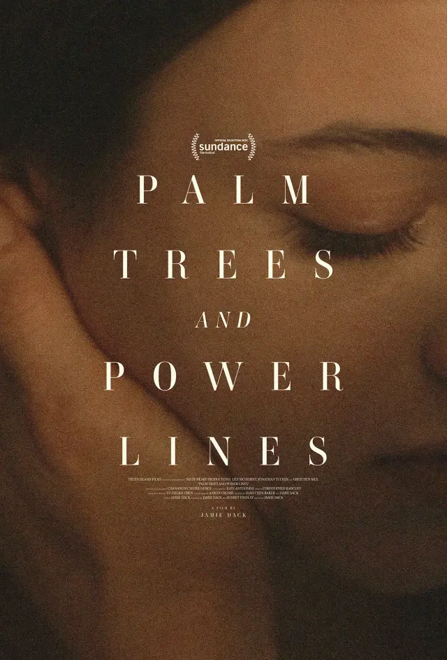 فیلم درختان نخل و خطوط برق (Palm Trees and Power Lines) پوستر