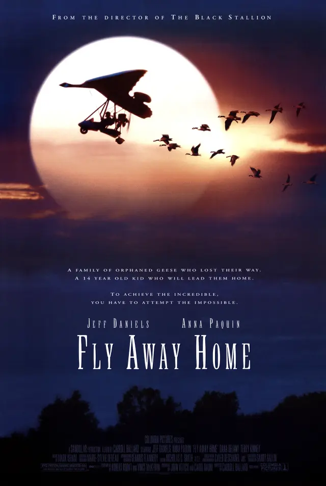 فیلم پرواز به خانه (Fly Away Home) پوستر