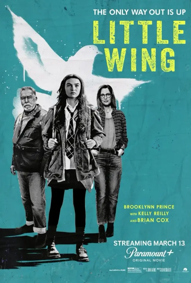 فیلم بال کوچک (Little Wing) پوستر