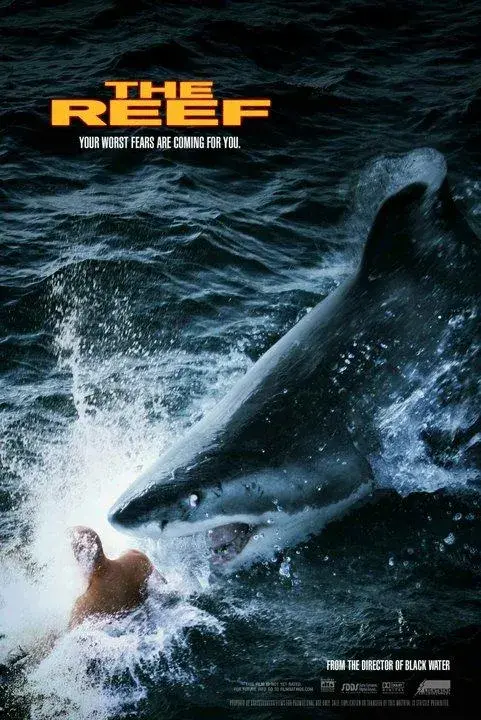 فیلم صخره (The Reef) پوستر