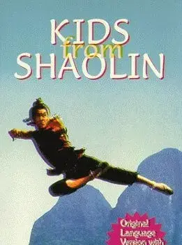 فیلم معبد شائولین 1984 (Kids from Shaolin) پوستر