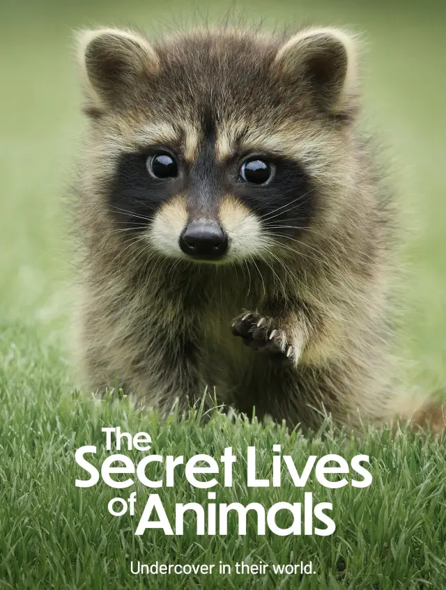 مستند زندگی مخفی حیوانات (The Secret Lives of Animals) پوستر