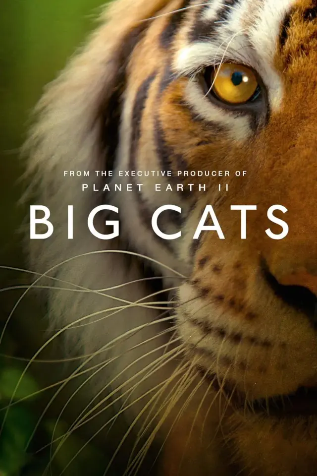 مستند گربه‌ های بزرگ (Big Cats) پوستر