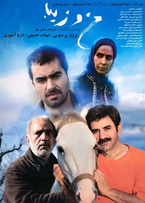 فیلم من و زیبا (Ziba and I) پوستر