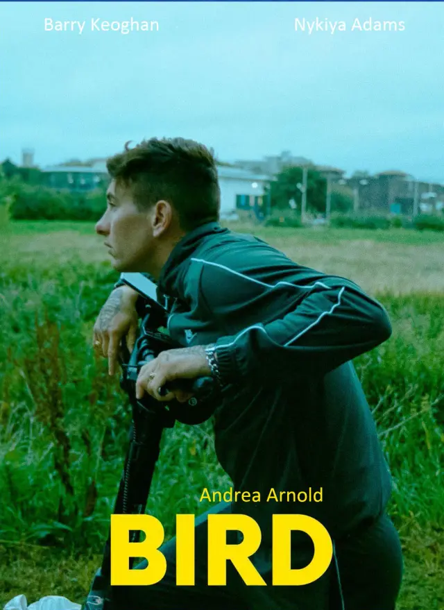 فیلم پرنده (Bird) پوستر