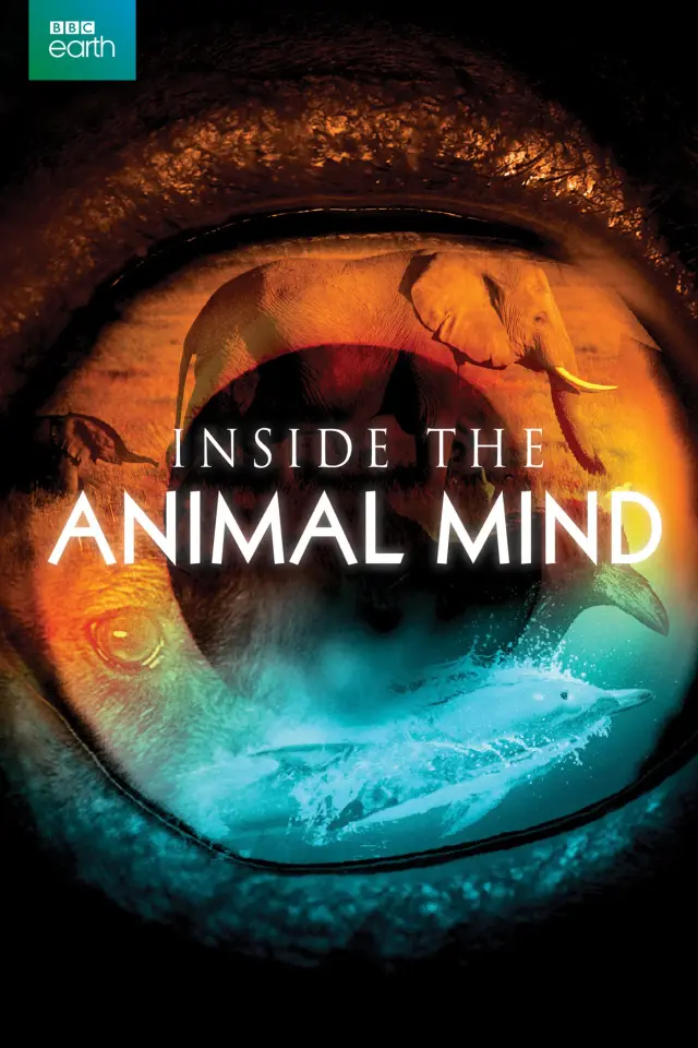 مستند کدام حیوان باهوش ترین است (Inside the Animal Mind) پوستر