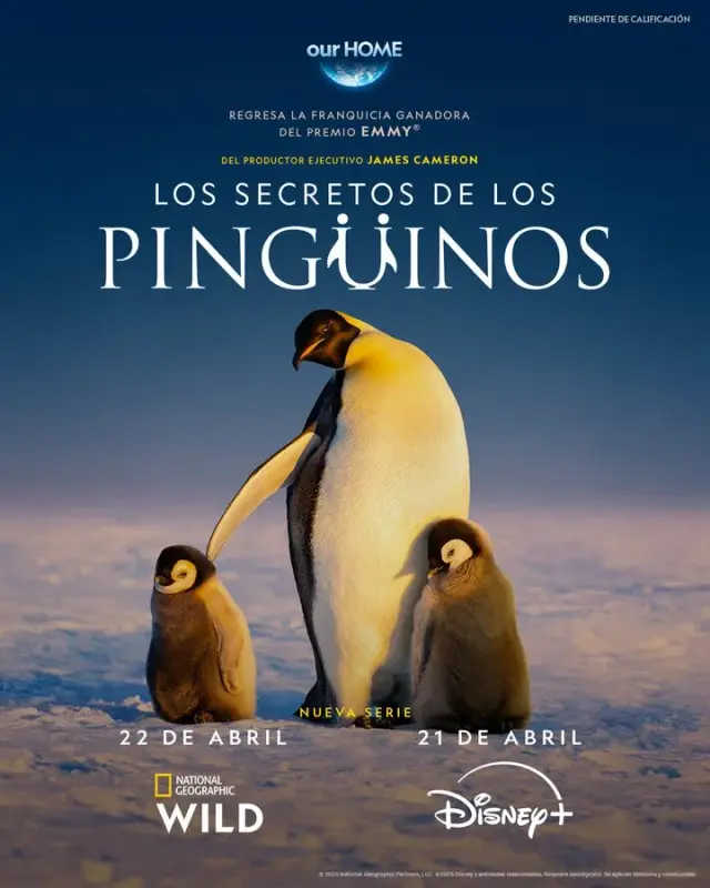 مستند اسرار پنگوئن ها (Secrets of the Penguins) پوستر