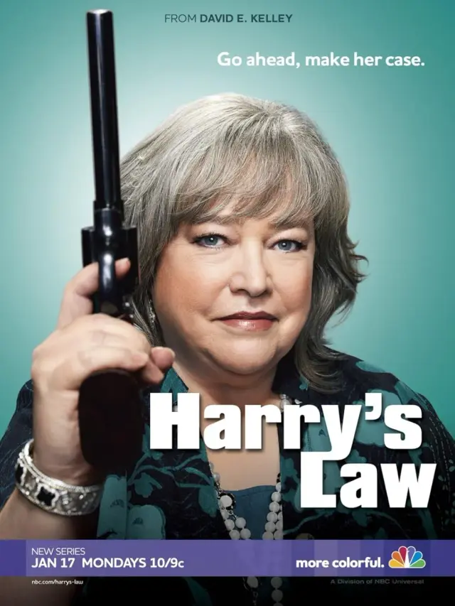 سریال قانون هری (Harry's Law) پوستر