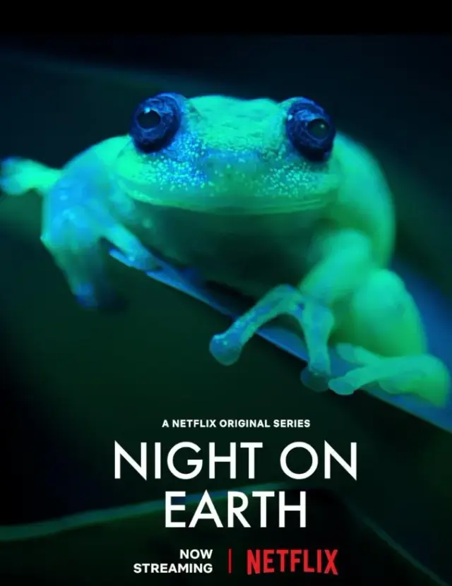 مستند شب روی زمین 2020 (Night on Earth) پوستر