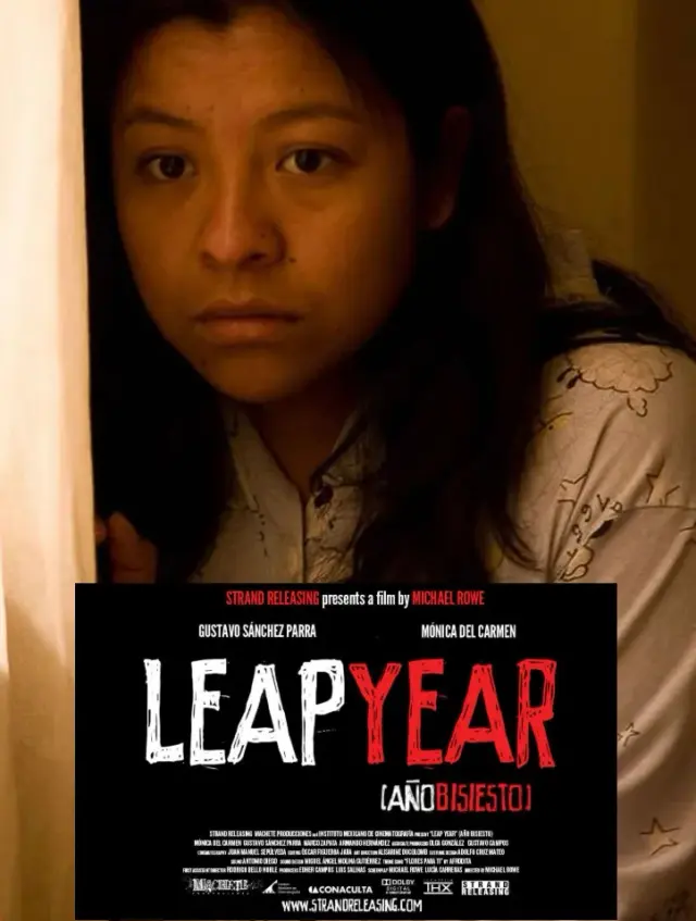 فیلم سال کبیسه (Leap Year) پوستر