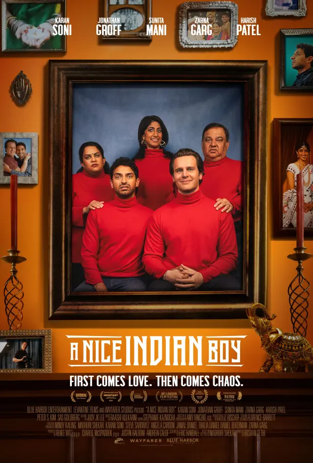 فیلم یک پسر هندی خوب (A Nice Indian Boy) پوستر
