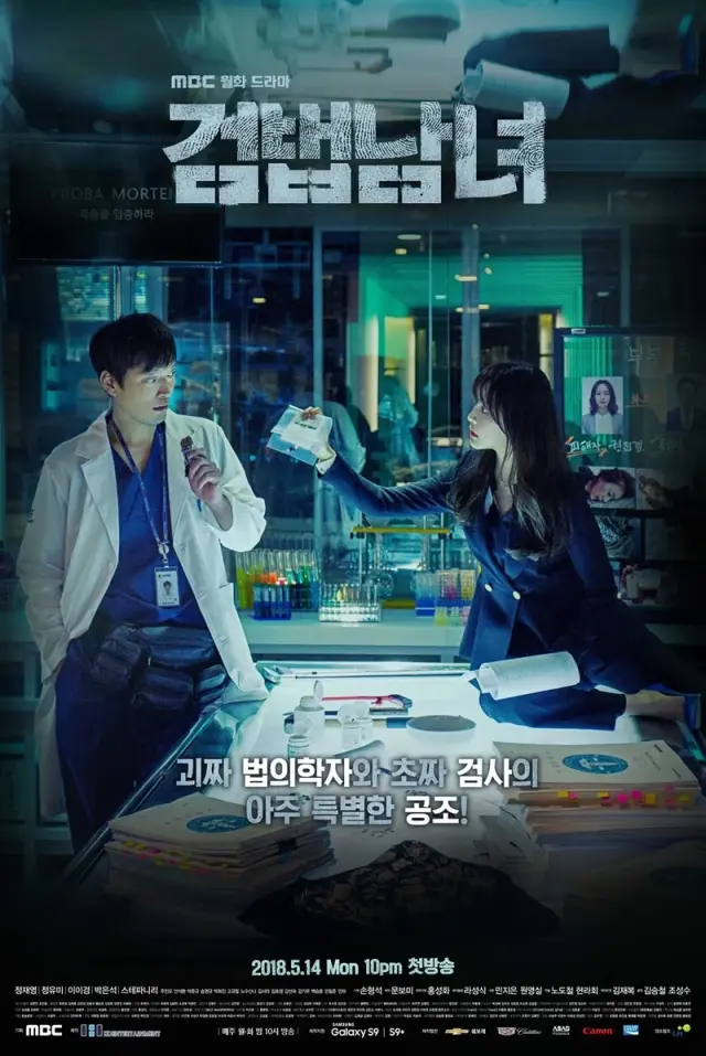 سریال زوج محقق (Investigation Partners) پوستر