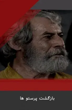سریال بازگشت پرستو ها